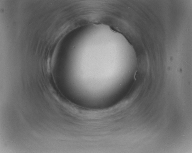 X0000060740044200511241649