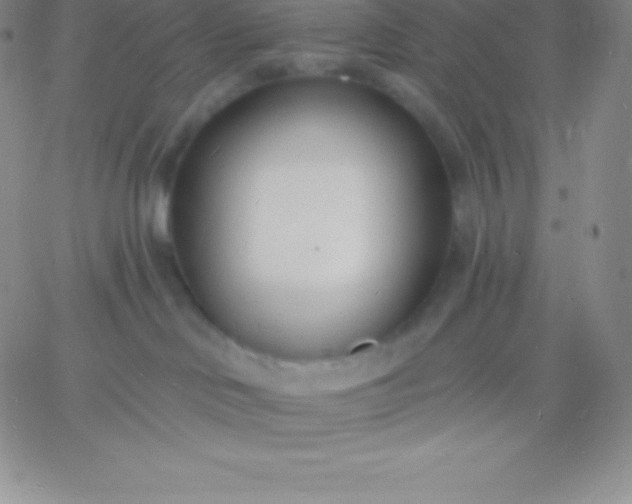 X0000060740046200511241649