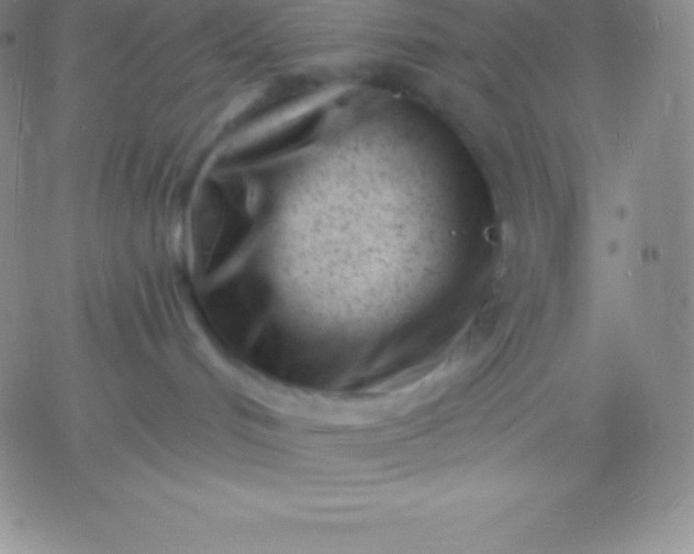 X0000060740048200511241649