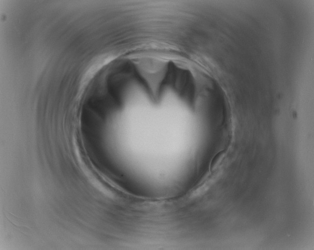 X0000060740049200511241648