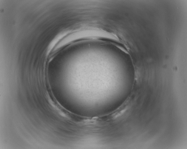 X0000060740052200511241648