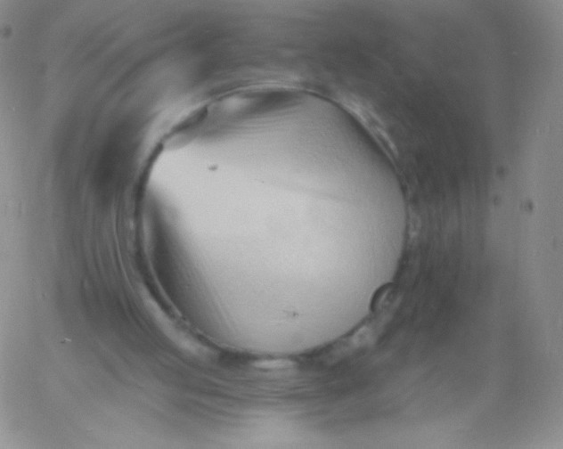 X0000060740053200511241648