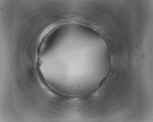 X0000060740054200511241648