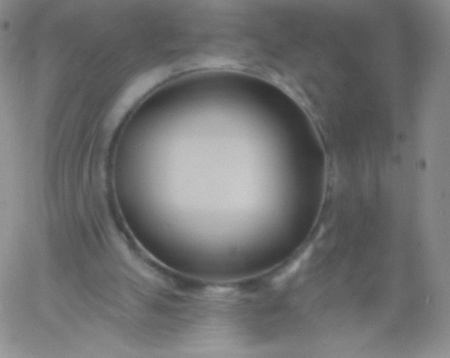 X0000060740055200511241648