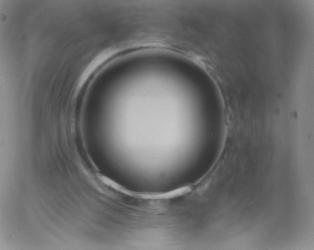 X0000060740056200511241648