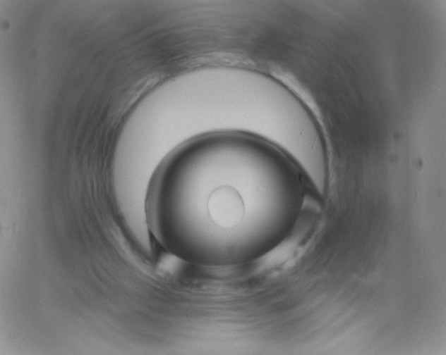 X0000060740057200511241648