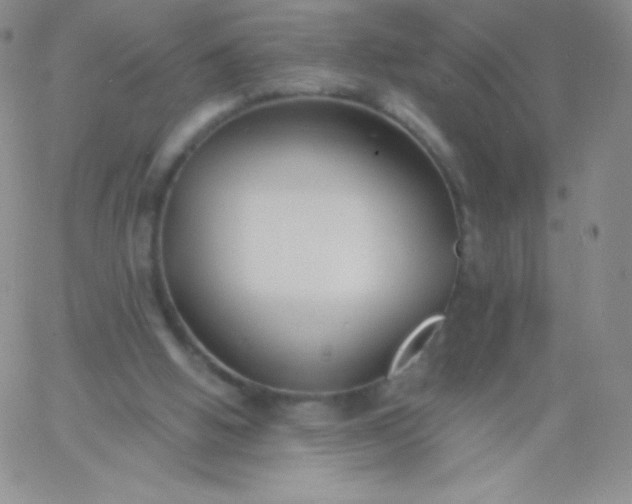 X0000060740058200511241648