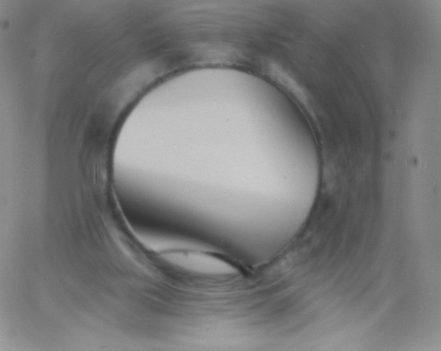 X0000060740059200511241648