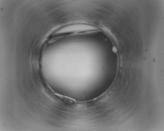 X0000060740060200511241648