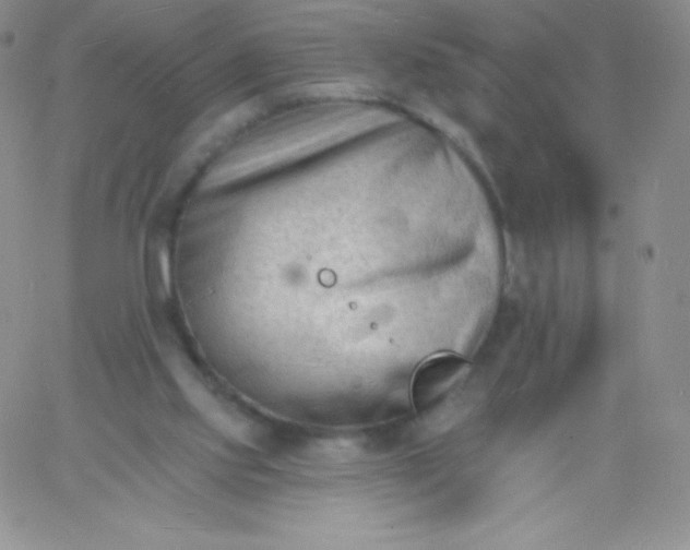 X0000060740061200511241648