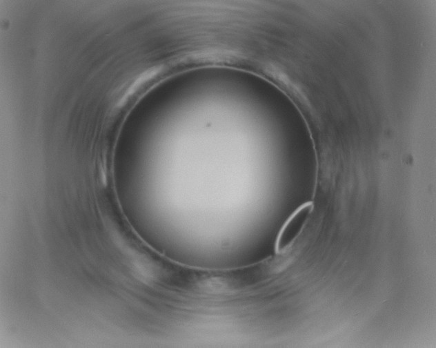 X0000060740062200511241648