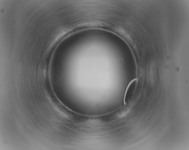 X0000060740063200511241648