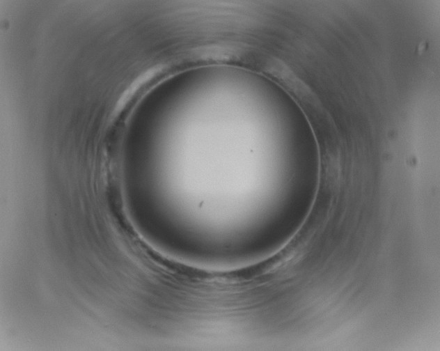 X0000060740064200511241648