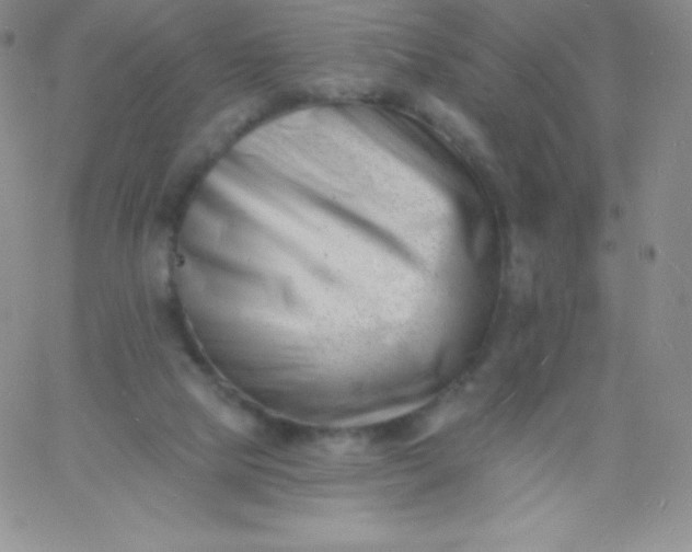 X0000060740065200511241648