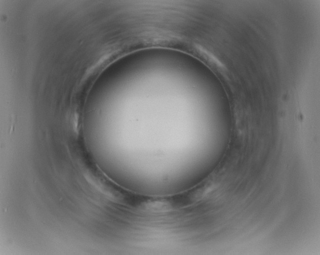 X0000060740067200511241648