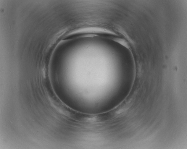 X0000060740068200511241648