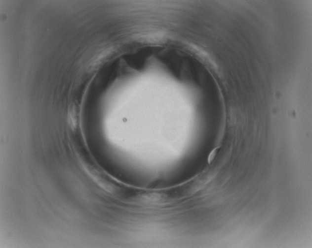 X0000060740069200511241648