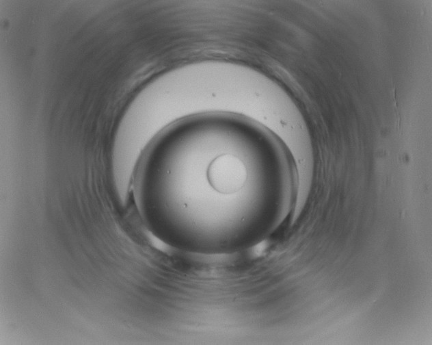 X0000060740071200511241648