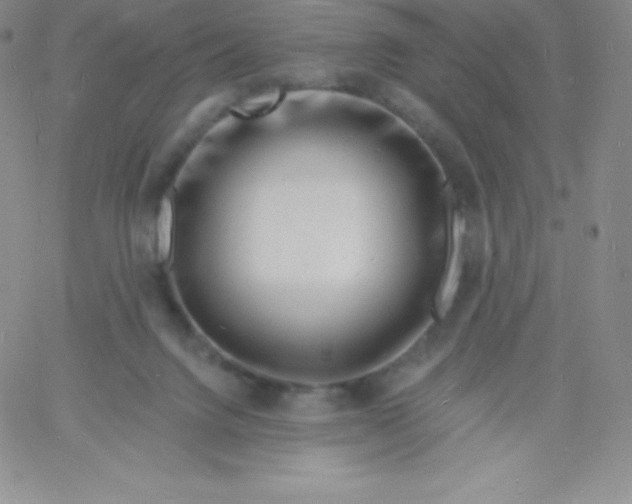 X0000060740072200511241648