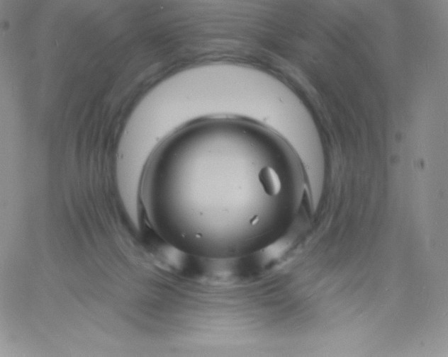 X0000060740073200511241648