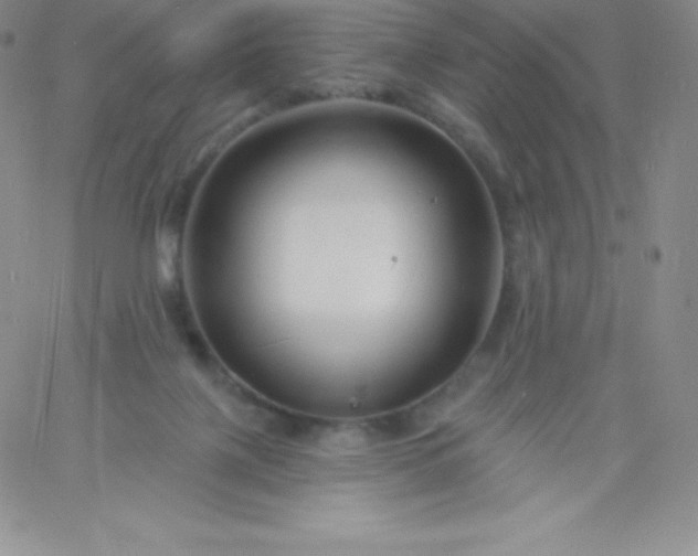 X0000060740075200511241649