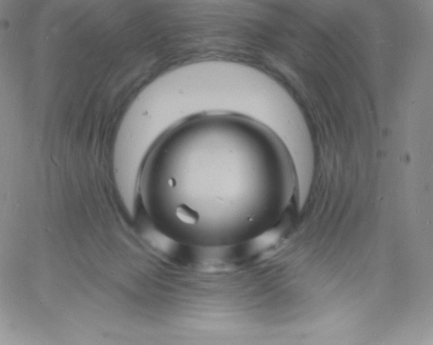 X0000060740077200511241649