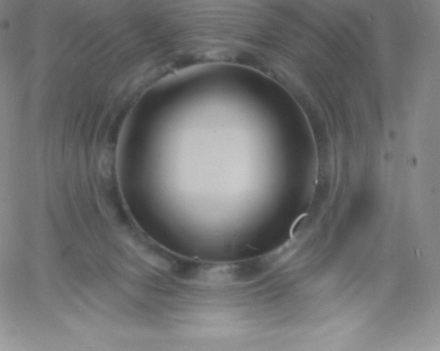 X0000060740078200511241649