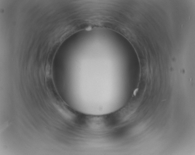 X0000060740081200511241649