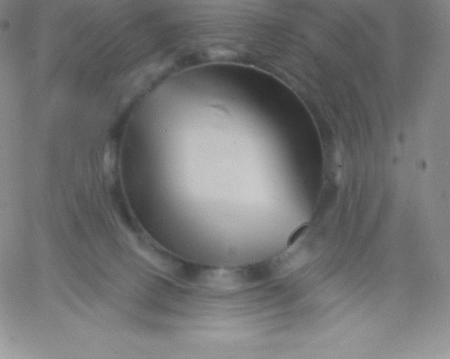 X0000060740082200511241649