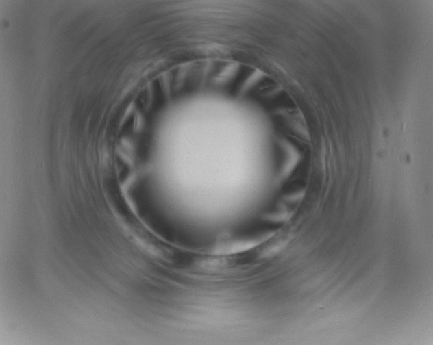 X0000060740084200511241649