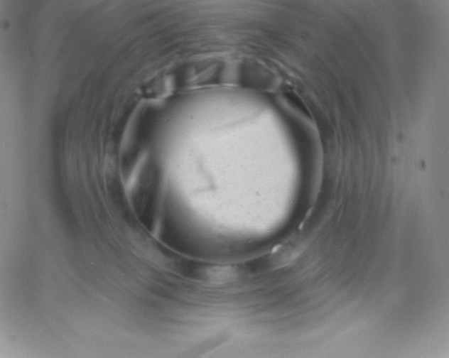 X0000060740085200511241649