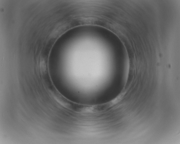 X0000060740086200511241649