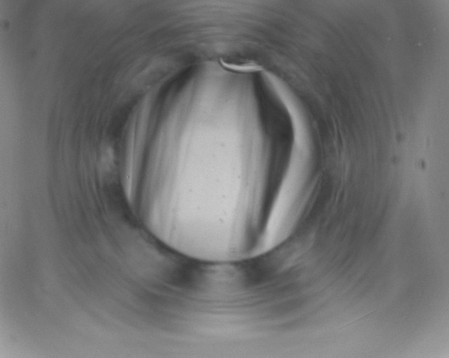 X0000060740087200511241649