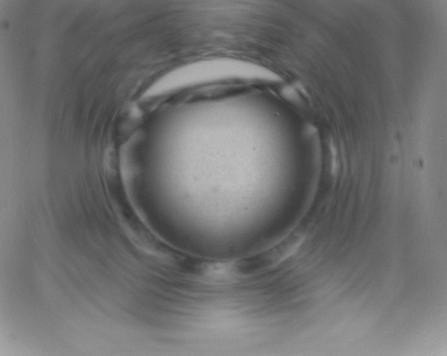 X0000060740088200511241649