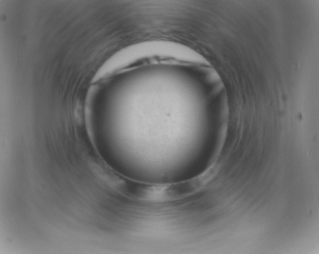 X0000060740090200511241649