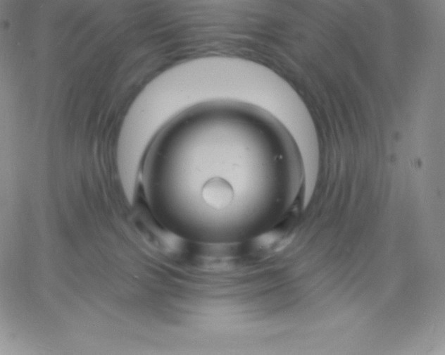 X0000060740091200511241649