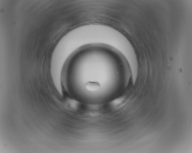 X0000060740092200511241649