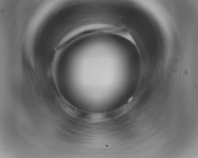 X0000060740093200511241649