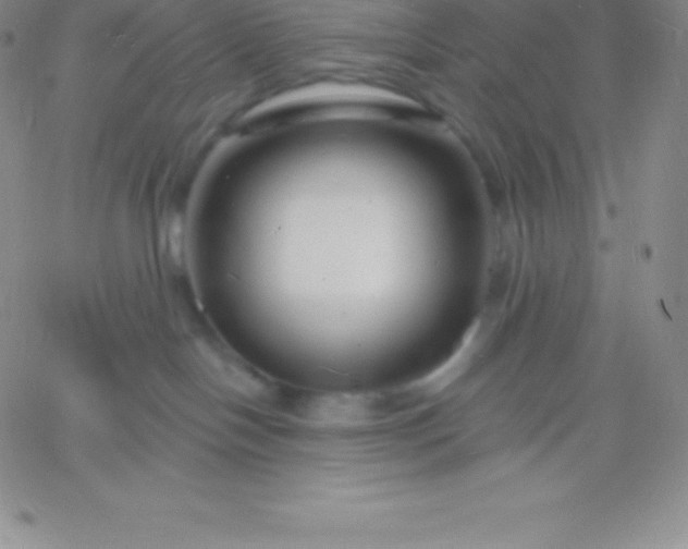 X0000060740094200511241649