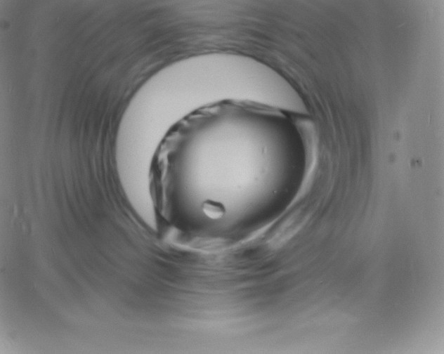 X0000060740096200511241649