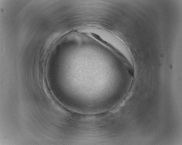 X0000060740097200511241648