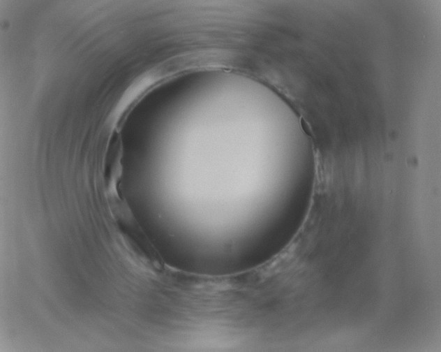 X0000060740099200511241648