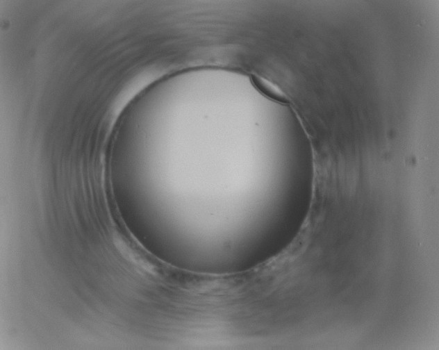 X0000060740100200511241648