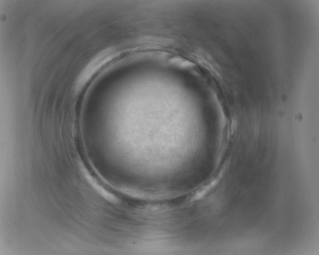 X0000060740101200511241648