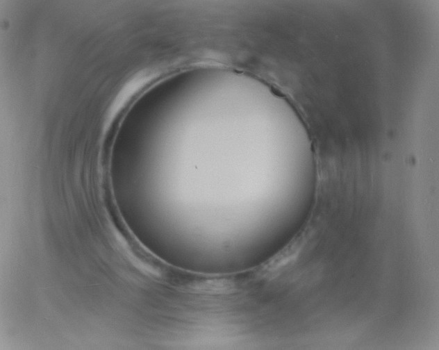 X0000060740102200511241648