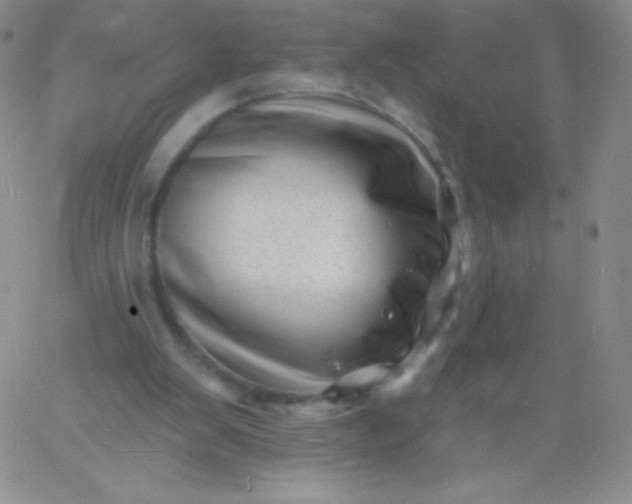 X0000060740103200511241648