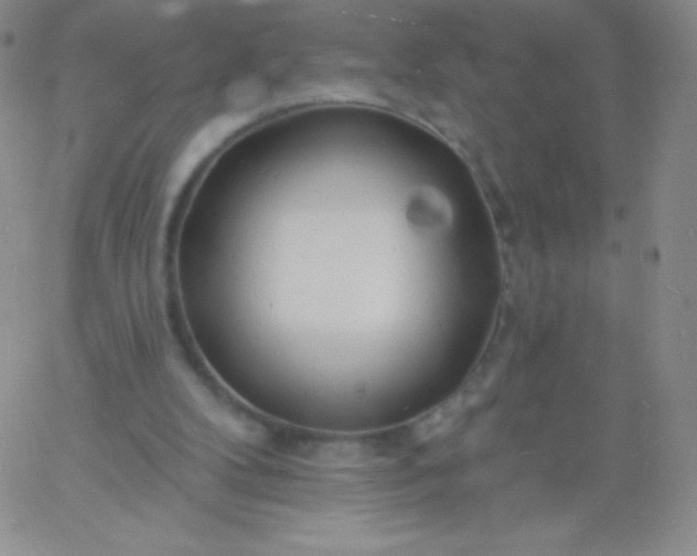 X0000060740104200511241648