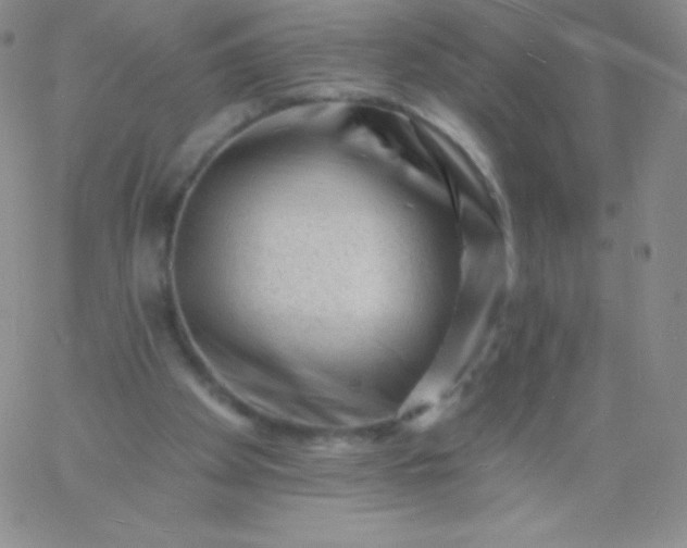 X0000060740105200511241648