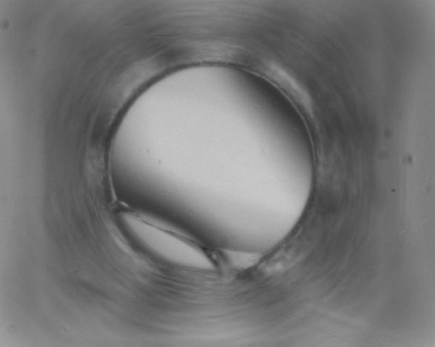 X0000060740107200511241648