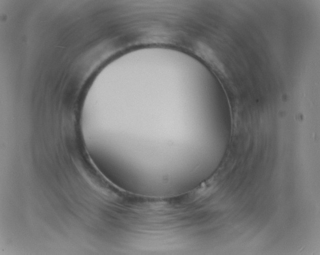 X0000060740108200511241648